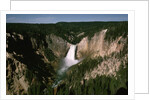 Lower Falls in Yellowstone National Park by Anonymous