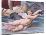 Detail of Cupid from Galatea by Raphael