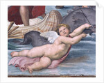 Detail of Cupid from Galatea by Raphael