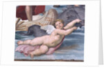 Detail of Cupid from Galatea by Raphael