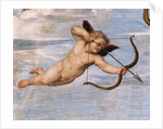 Detail of Cupid from Galatea by Raphael