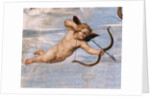 Detail of Cupid from Galatea by Raphael