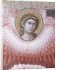 Detail Showing Angels from the Last Judgement by Pietro Cavallini