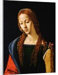 Detail Showing Upper Half of Mary Magdalene by Piero di Cosimo