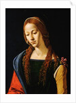 Detail Showing Upper Half of Mary Magdalene by Piero di Cosimo