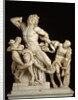 The Laocoon Group by Anonymous