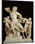 The Laocoon Group by Anonymous