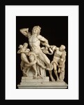 The Laocoon Group by Anonymous