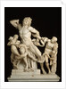 The Laocoon Group by Anonymous
