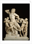 The Laocoon Group by Anonymous