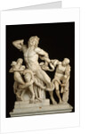 The Laocoon Group by Anonymous