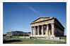 Exterior of the Temple of Neptune and Basilica of Paestum by Anonymous