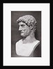 Profile of Hadrian Bust by Corbis