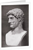 Profile of Hadrian Bust by Corbis