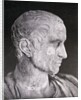 Bust of Julius Caesar by Anonymous