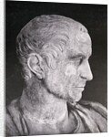 Bust of Julius Caesar by Anonymous