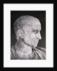 Bust of Julius Caesar by Anonymous