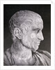 Bust of Julius Caesar by Anonymous
