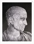 Bust of Julius Caesar by Anonymous