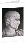 Bust of Julius Caesar by Anonymous