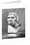 Bust of Prehistoric Man by Anonymous