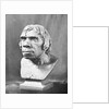 Bust of Prehistoric Man by Anonymous