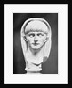 Sculpture of Caligula by Anonymous