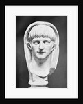 Sculpture of Caligula by Anonymous