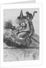 Engraving of a Witch Flying on a Broomstick by Anonymous