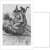 Engraving of a Witch Flying on a Broomstick by Anonymous