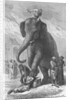 Elephant Crushing Victim's Head by Anonymous
