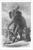 Elephant Crushing Victim's Head by Anonymous