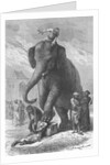 Elephant Crushing Victim's Head by Anonymous