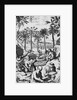 European Print of Drink Processing Activities in the New World by Anonymous