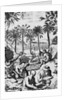 European Print of Drink Processing Activities in the New World by Anonymous