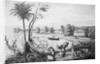 People Working on A Cotton Plantation by Anonymous
