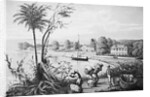 People Working on A Cotton Plantation by Anonymous