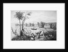 People Working on A Cotton Plantation by Anonymous