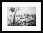 People Working on A Cotton Plantation by Anonymous