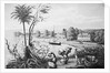 People Working on A Cotton Plantation by Anonymous