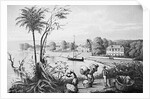 People Working on A Cotton Plantation by Anonymous