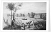 People Working on A Cotton Plantation by Anonymous