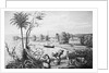 People Working on A Cotton Plantation by Anonymous