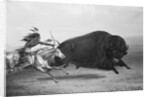 Indian Trying to Kill Buffalo by Anonymous