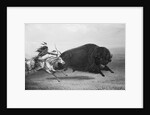 Indian Trying to Kill Buffalo by Anonymous
