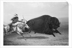Indian Trying to Kill Buffalo by Anonymous