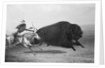 Indian Trying to Kill Buffalo by Anonymous