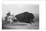 Indian Trying to Kill Buffalo by Anonymous