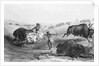 Indians Killing Buffalos by Anonymous