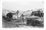 Indians Killing Buffalos by Anonymous